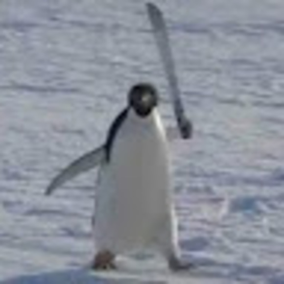 Meet your Posher, Optimistic - Picture 1 of 1